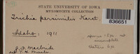 Image Associated With the Occurence